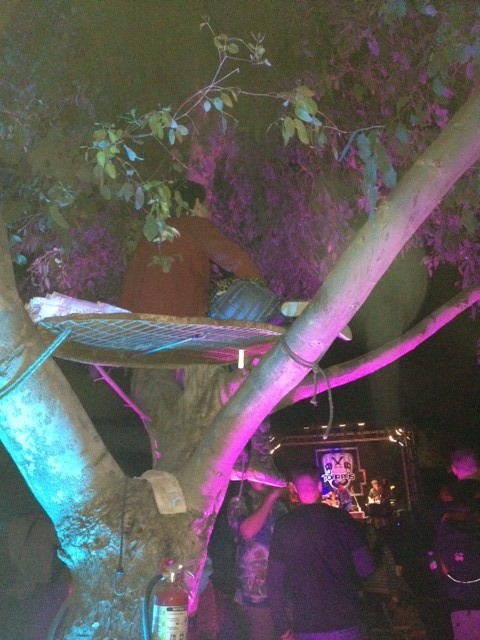 There were no rules against climbing trees! NO RULES! Ed. Note: There were some rules.