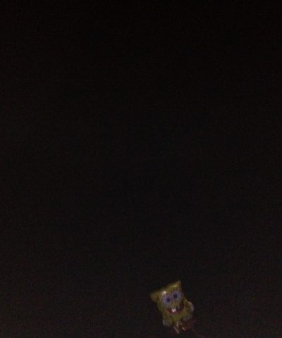 Where's Sponge Bob?