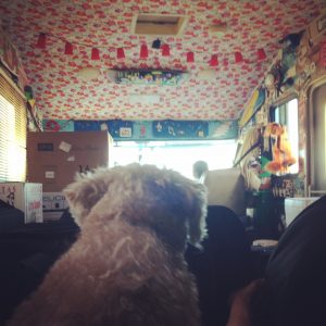 The view from the back.