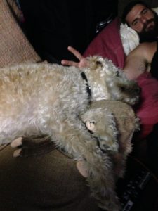 He brought his monkey.