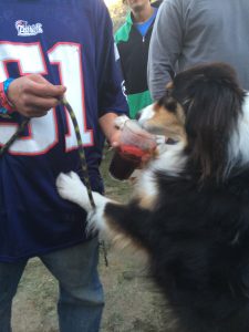 Don't drink and fetch bro.