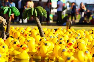 Duckies!