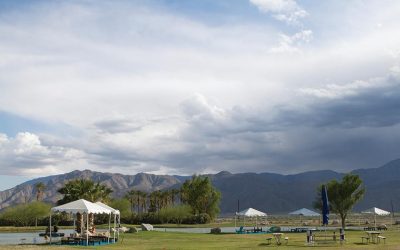 Playing Catchup... Again - Coachella 2016